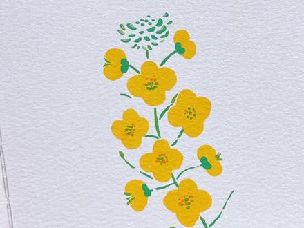 丙烯马克笔|油菜花简笔画教程 春天到了,一定会带来很多好消息!今天用美乐童年绘画出春天的油菜花,一起和我画起来吧#丙烯笔马克笔绘画 #零基础学画画 #绘画教程 #治愈系 #一学就会系列