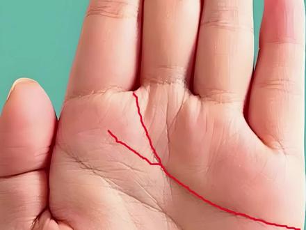 适合做事业的掌纹#掌纹 #手相