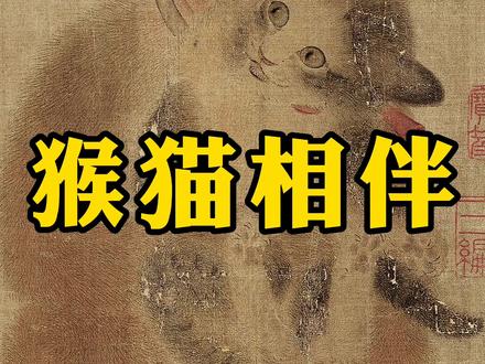 这对猴猫相伴,可不只是可爱这么简单,你看懂了吗?#中国文化#涨知识
