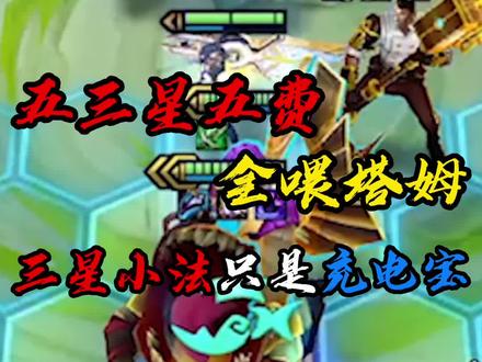 四个三星五费 喂塔姆是一种什么样的体验?