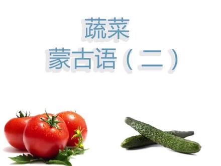 蔬菜-蒙古语教学2#eyereg蒙古语