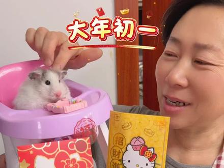 鼠鼠:感谢姥姥送来的大红包!! #大年初一我家宝贝来拜年#过个抖音新轻年#宝贝年味企划#万物可爱计划 #蔡可爱爱仓鼠