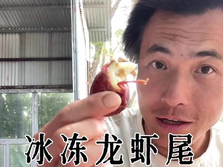 这样做法的虾尾放冰箱储存一个月内口感和活龙虾几乎一样的 #龙虾尾 #澳龙 #龙虾 #舌尖上的味道