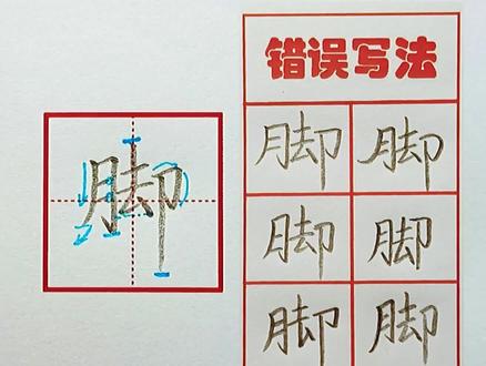 【脚】左中右结构,高低关系很重要!(二年级上册写字表同步)