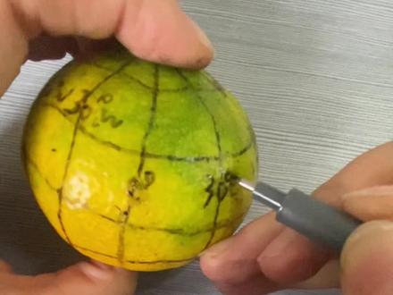 用桔子做地球仪,画经线纬线的分布#经线纬线