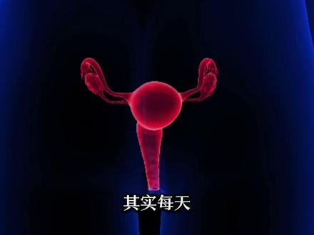 孕育生命的子宫 女性生理结构大揭秘:生殖系统的核心,子宫究竟有多重要?#科普一下 #涨知识了 #冷知识 #人体 #孕育