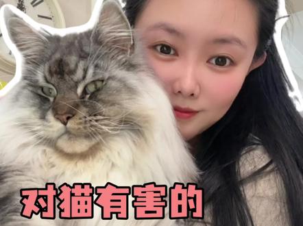 这几条害猫谣言别再信了!#新手养猫 #养猫人 #养猫经验分享 #万物可爱计划 #给春日养宠支个招
