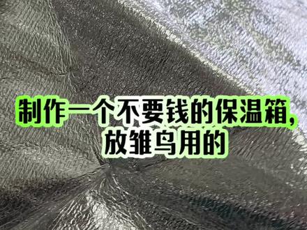 #鹦鹉的迷惑行为 #创作者中心 #创作灵感 做一个不要钱的保温箱放雏鸟用的#鹦鹉 #牡丹鹦鹉