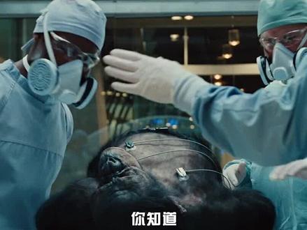 38年前,成功移植“狒狒心脏”的女婴,最后活了多久?(2/3)