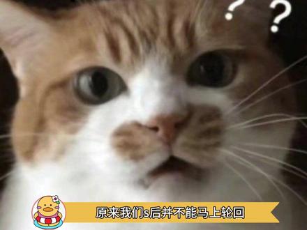 所以 地下有没有大巴载我一程 #冷知识 #历史
