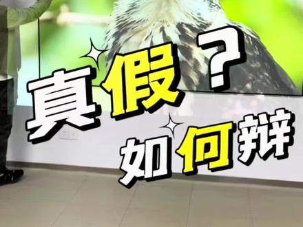 真假中长焦菲涅尔抗光屏如何判断?假货横行!请大家认准正品#抗光幕布 #投影幕布 #投影仪 #家庭影院 #博视投影幕