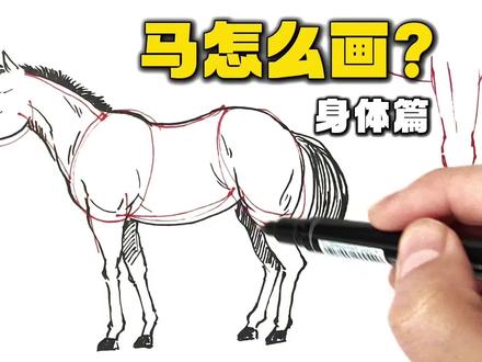 3分钟教会你画马(身体篇)#绘画 #绘画教程 #简笔画 #马 #马年