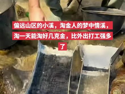 偏远山区的小溪,淘金人的梦中情溪,淘一天能淘好几克金,比外出打工强多了#金矿 #淘金 #户外 #现场实拍 #黄金