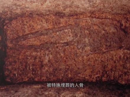 三星堆古城2:三星堆古城墙下挖出人骨,疑似为祭祀品#猎奇 #诡异灵异 #考古 #文物