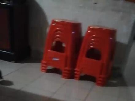 打旺后用哨子一逗又接口叫好竹鸡媒子。