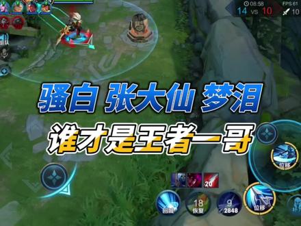 骚白,张大仙,梦泪谁才是王者一哥#内容过于真实