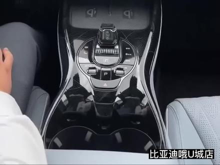 海豹的辅助驾驶设置!#欢聚海洋玉兔呈祥#欢迎来到海洋乐园