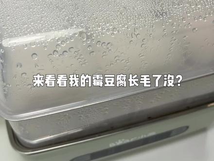 自制霉豆腐后续来了… 你们觉得这算成功了没? #霉豆腐 #自制美食 #霉豆腐制作 #玩一种很新的东西 #后续来啦