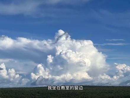 郑循你就是那只鸟#玩家无响应 #纯萌新这游戏怎么还不上难度 #白塔游戏