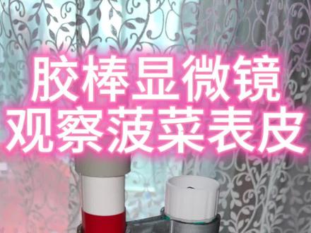 自制显微镜观察家常菜----菠菜表皮细胞