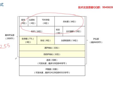 03 IP协议基础:这是互联网的奠基石,最常见最重要的网络协议
