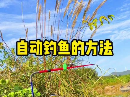 钻研了20年才摸索出来的自动钓鱼方法,大家看实用吗? #钓鱼教学 #钓鱼知识 #钓鱼