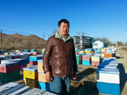 养蜂细节决定成败,很多人不懂如何关蜂王,难怪蜜蜂越冬失败