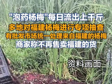 天呐,杨梅谁还敢吃?#杨梅