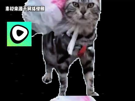 刷漫好去处,红果漫剧 #红果漫剧
