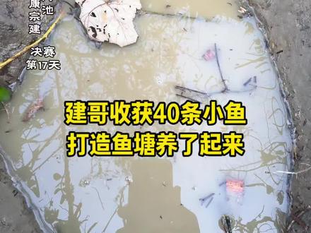 决赛第十七天,建哥编鱼笼收获40条小鱼,打造鱼塘养起鱼来!#张家界七星山 #张家界七星山骆驼杯 #老六荒野 #荒野建哥