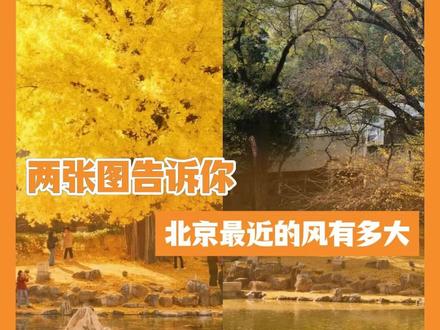 两张图告诉你,北京最近的风有多大#北京风有多大 #北京大风