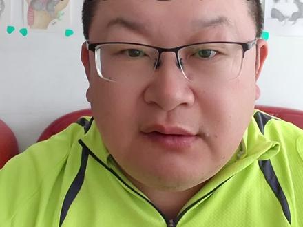 藏马熊很多,伤人很少 藏马熊#