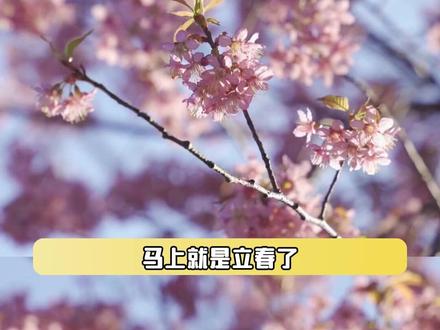 躲春避得千般顺,新年迎来万事兴#躲春 #新年 #2026 #习俗