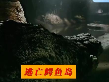 《逃亡鳄鱼岛》经典鳄鱼电影之一
