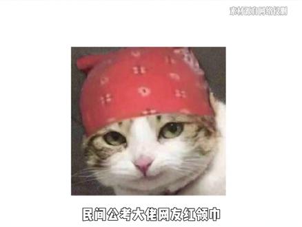 红领巾、乌蝇哥、公冶天纵,三位公考大神哪家强? #考公 #备考 #行测 #上岸 #网友红领巾