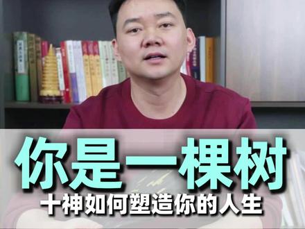 带你用易学的角度看世界,什么是十神? #人生感悟 #感悟 #人生道理 #涨知识 #认知