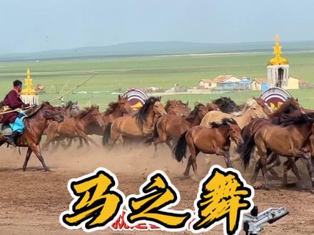 草原之行,最好的一个景区,巴尔虎蒙古部落,马之舞#马背上的民族 #内蒙古风景