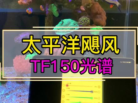 太平洋飓风TF150珊瑚灯设置方法-光谱分享(全)。#太平洋飓风 #珊瑚灯光谱#珊瑚灯 #海缸日记