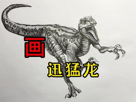 手绘恐龙教程、教你如何画恐龙、迅猛龙篇#画画 #手绘 #侏罗纪世界 #画画教程 #画迅猛龙