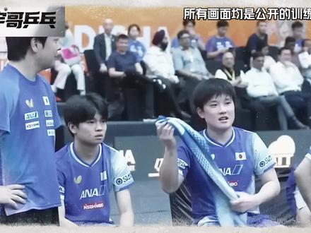 很多人意识不到,国乒男队正面临危机,日本队梯队建设更完整! #张本智和 #松岛辉空 #国乒 #乒乓球 #青年创作者成长计划