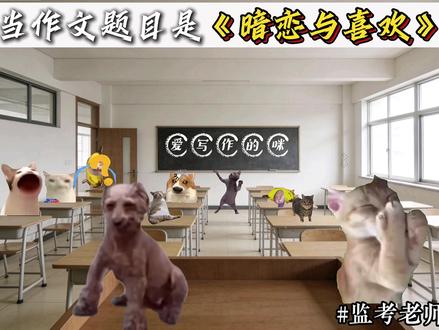 众里寻他千百度,慕然回首,那人却在灯火阑珊处! #猫meme写作 #作文 #写作素材 #暗恋与喜欢 #用一篇长文记录我的春节