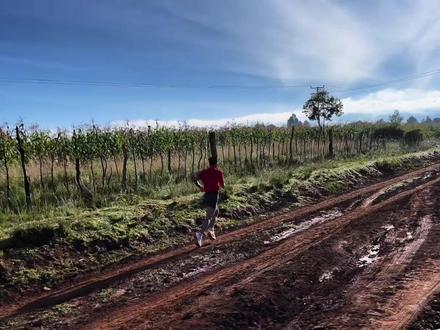 只身远赴肯尼亚训练,最终刺破尘封15年的国史纪录 #何杰 #田径 #体育 #人物故事