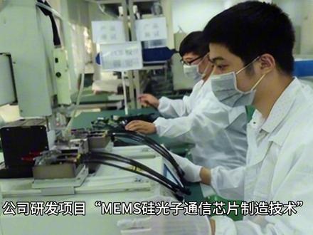 赛微电子300456前景展望