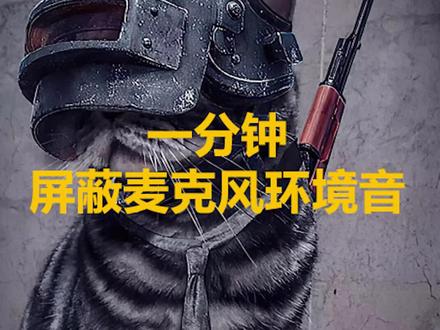 键盘麦和在网吧玩的朋友一定要试试,这个开了以后一点噪音都没有!#绝地求生