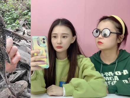 神奇“不死鱼“清道夫!变干尸也能遇水就活,冰冻5小时会怎样? #清道夫 #不死鱼 #实验