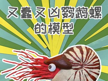 说起鹦鹉螺你想到什么? @抖音小助手 #知识创作人 #看见手艺 #模型 #海洋生物
