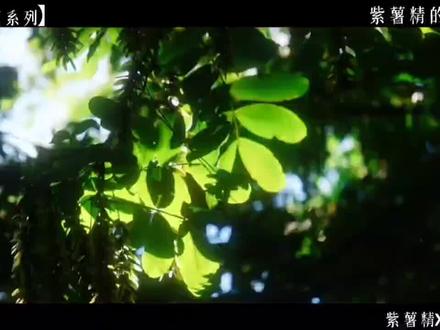 我的名字叫紫薯精…… 灵感素材:@小懒 没有盗视频,自己剪的#你能叫出它的名字吗 #紫薯精 #周小闹