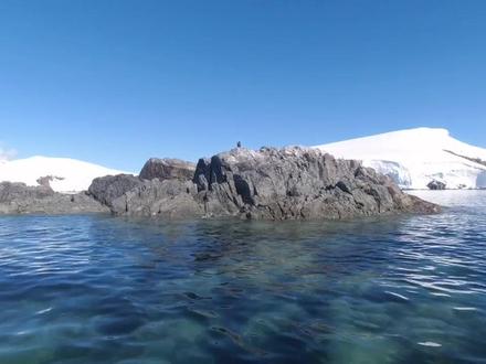 南极洲攻略6#旅行vlog