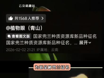 还有花的名字叫炸糊的花生米戴黄帽?#兜兰 #云朵萌趣站 #搞笑 #网友神评论