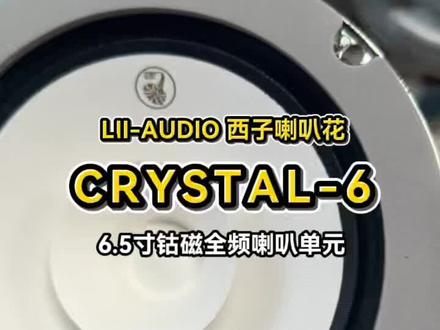 西子喇叭花6.5寸钴磁全频喇叭 我就把话撂这了!这款喇叭是我家同等尺寸喇叭中的性价比之王 🤘#全频喇叭#钴磁喇叭 #音响发烧友 #书架箱